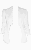 Diane Von Furstenberg Fitted Jacket