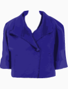 Max Mara Single Breasted Jacket
