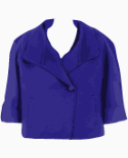 Max Mara Single Breasted Jacket