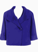 Max Mara Single Breasted Jacket