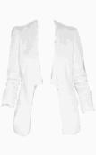 Diane Von Furstenberg Fitted Jacket