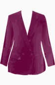 Skyes Blazer