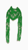 Alexander Mcqueen Long scarf