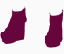 Acne ankle boots