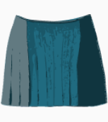 DKNY Flared Skirt