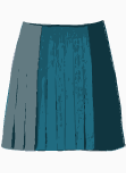 DKNY Flared Skirt