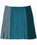DKNY Flared Skirt