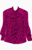 D&G Blouse