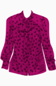 D&G Blouse
