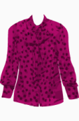 D&G Blouse