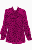 D&G Blouse