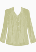 Elizabeth and James Blouse