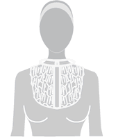 Near the neck
