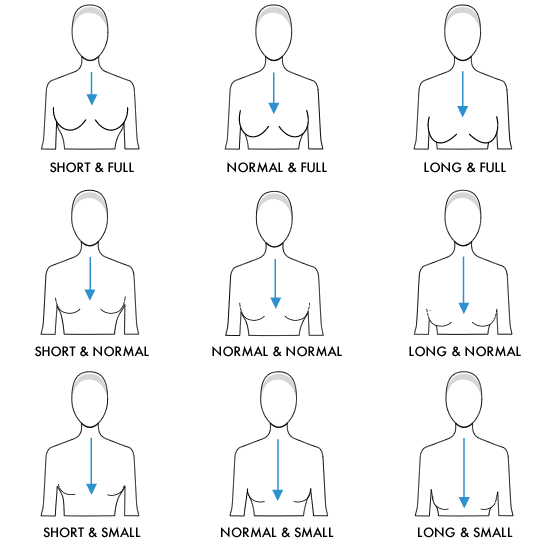 Bust sizes