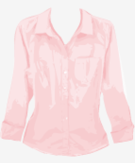 Blush-pink J.Crew Fitted Top