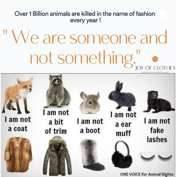 Animals killed in the name of fashion- Fashion’s Dirty Secret